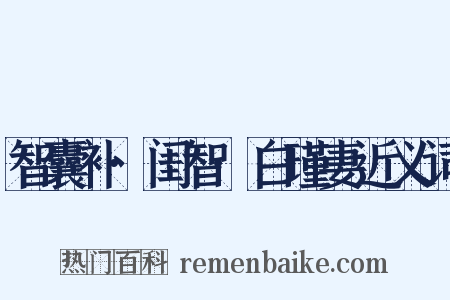 智囊补·闺智·白瑾妻近义词是什么意思的图片